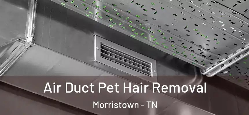  Air Duct Pet Hair Removal Morristown - TN