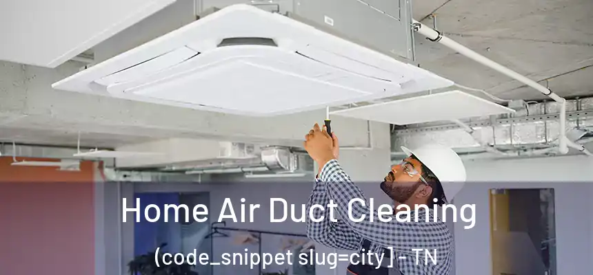  Home Air Duct Cleaning (code_snippet slug=city] - TN