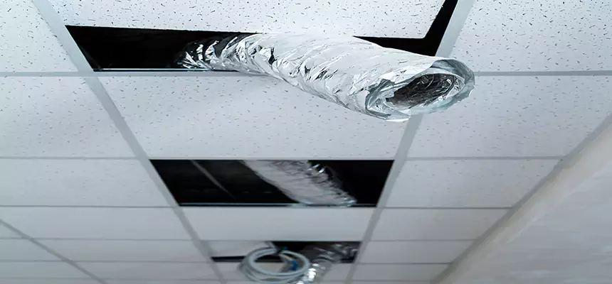 Affordable HVAC Sanitizing After Pest Removal in Morristown