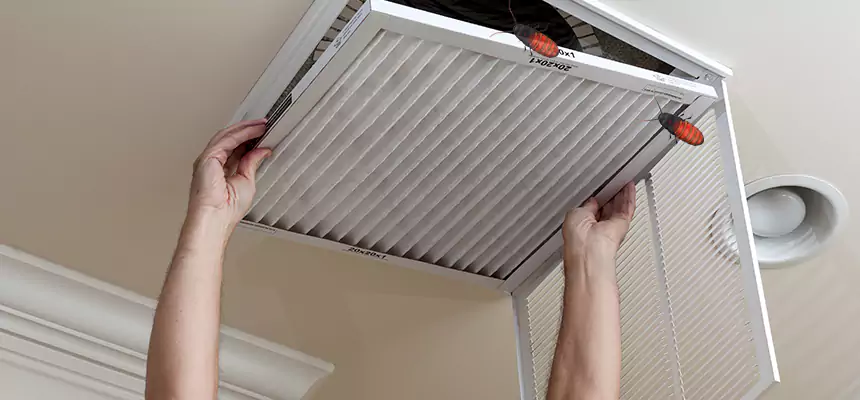 Our Insect Removal from Air Ducts Services in Morristown, TN