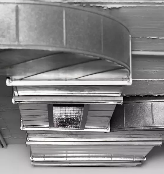 Professional Air Duct Pet Hair Removal in Morristown, TN