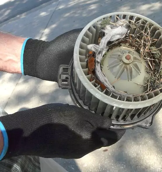 About Air Duct Rat Removal in Morristown, TN