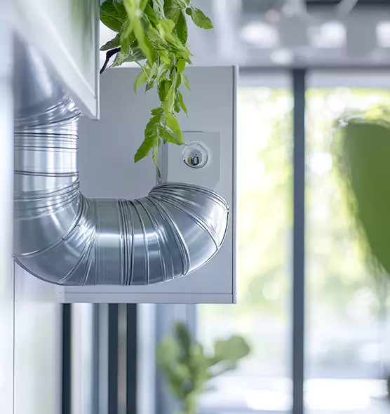 Professional Eco-Safe Dryer Vent Cleaning in Morristown, TN