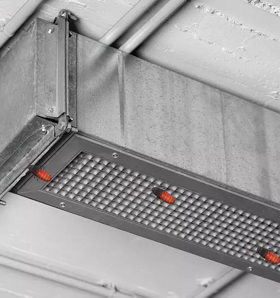 Affordable Insect Removal from Air Ducts in Morristown, TN