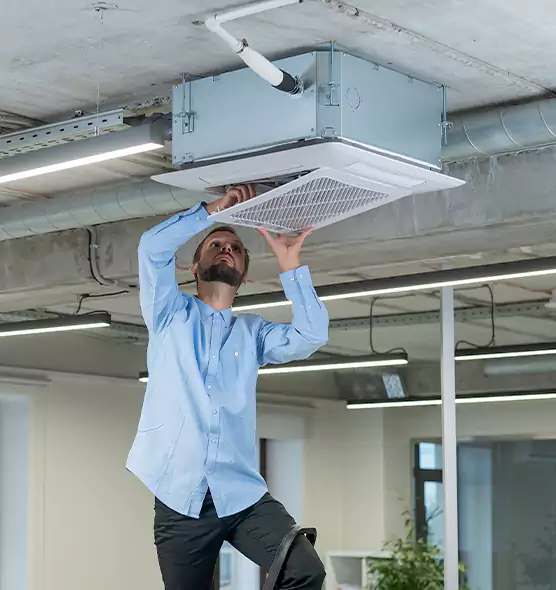 Advanced Rodent Droppings In Vents in Morristown, TN