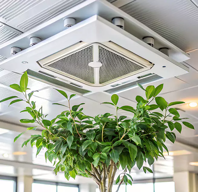 Why Homeowners & Businesses Trust Us in Morristown, TN