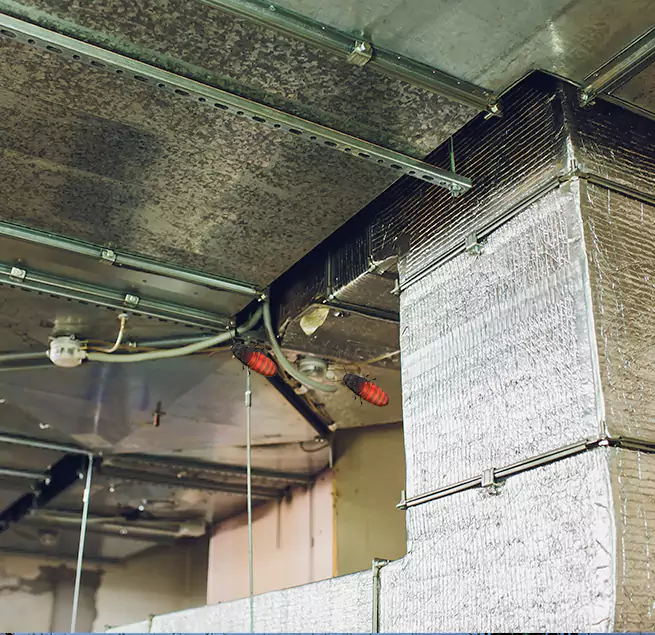 Why Homeowners & Businesses Trust Us Morristown, TN?